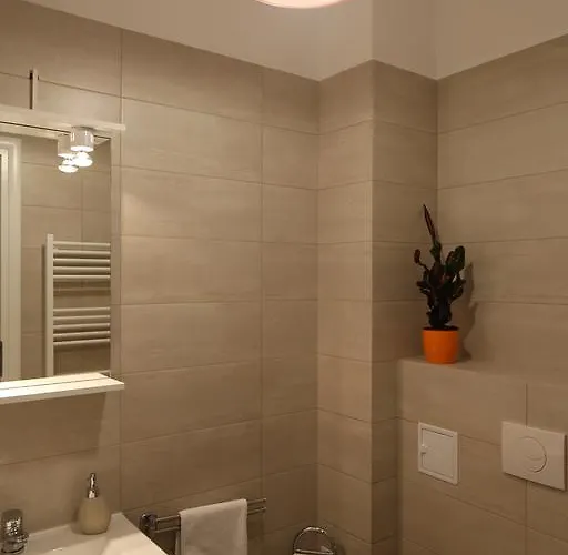 Schiller 3 Daire Braşov